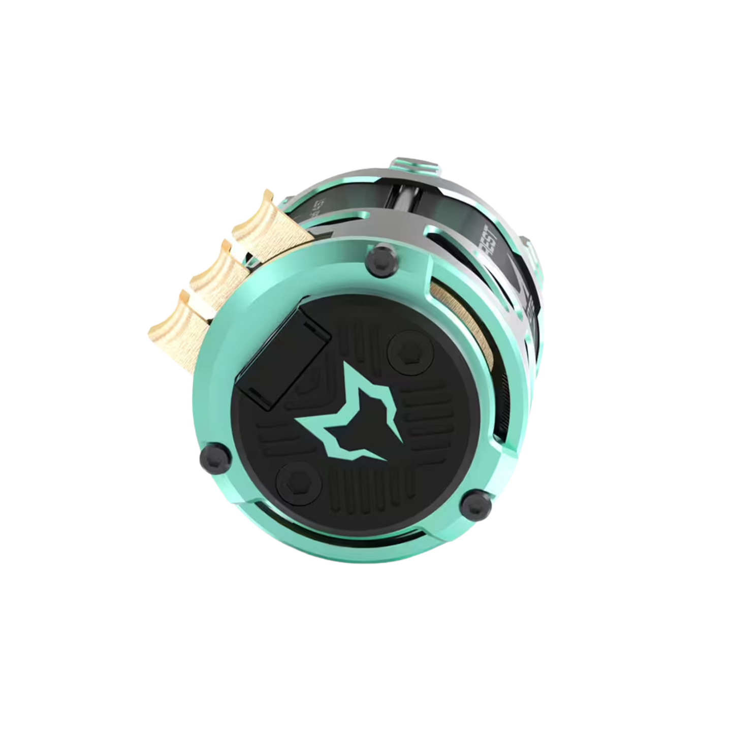 CAYOTE Crest Modi 6.5T Brushless Motor