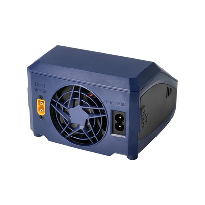 SkyRC D100 Neo Charger AC100W